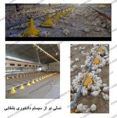 نسلی نو از سیستم دانخوری بشقابی