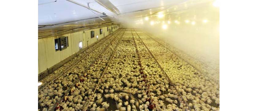 طریقه کارکرد سیستم های تولید مه