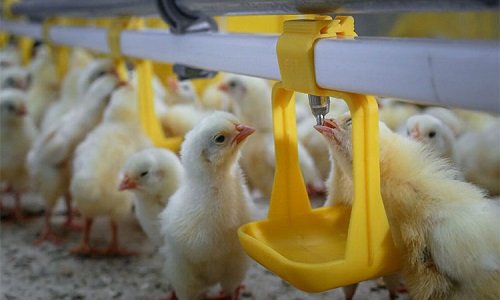 فشار شکن یا رگلاتور چیست؟